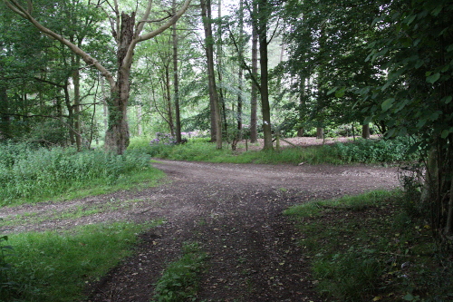 view of the cart track