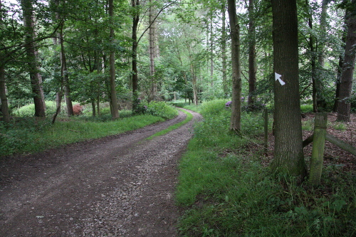 view of the cart track