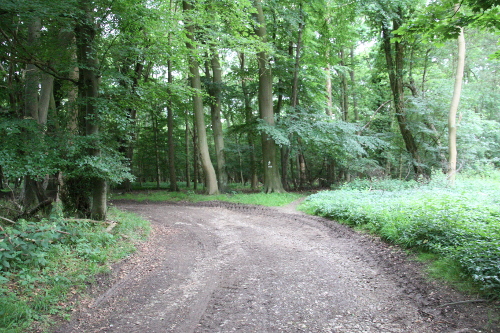 view of the cart track