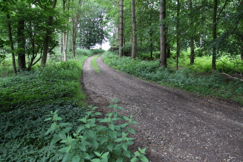 view of the cart track