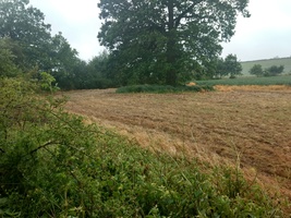 photo of the area