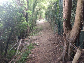 photo of the area